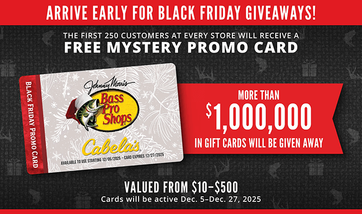 Black Friday gift card