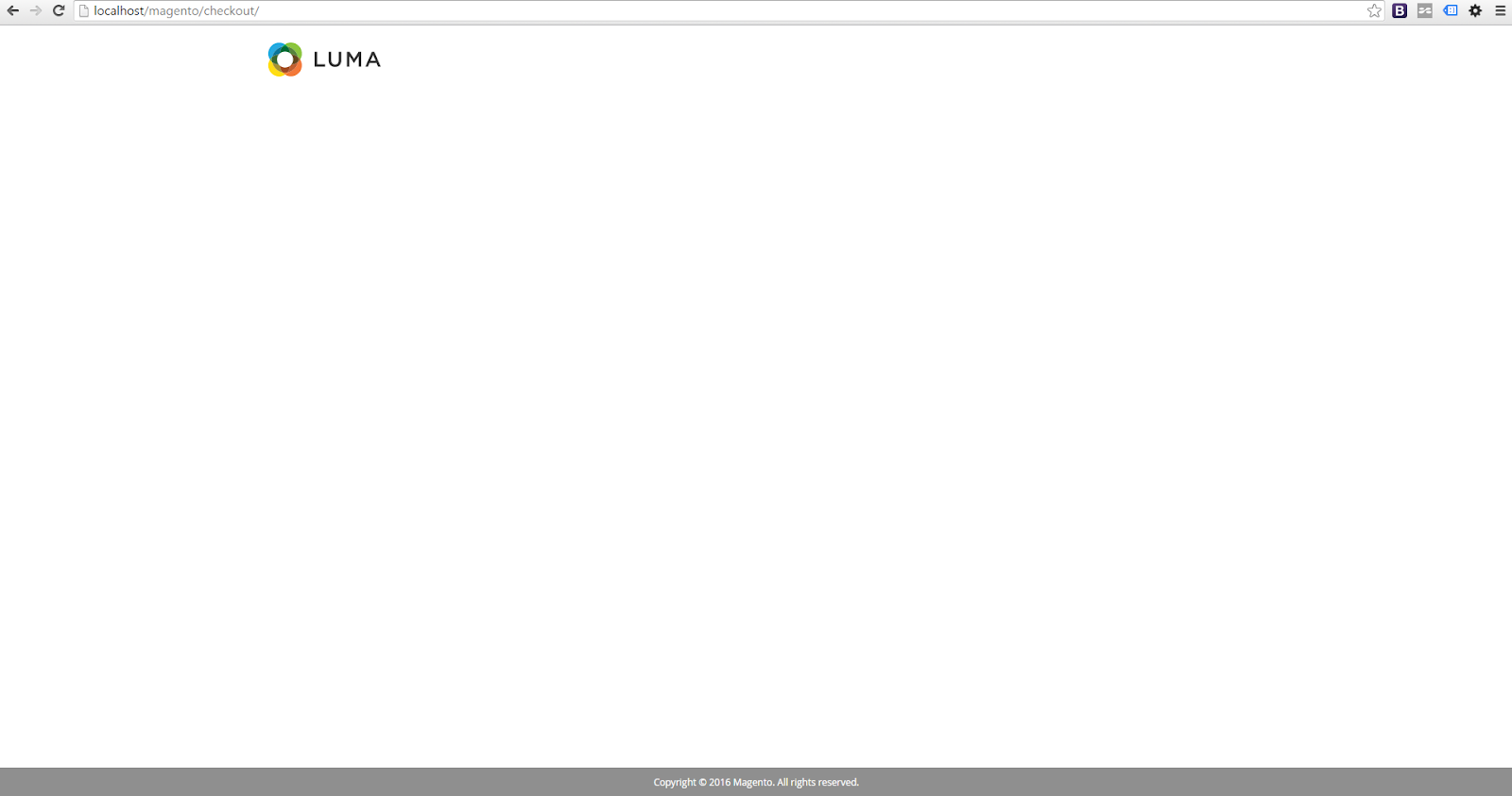 Magento 2 Checkout page shows a blank screen
