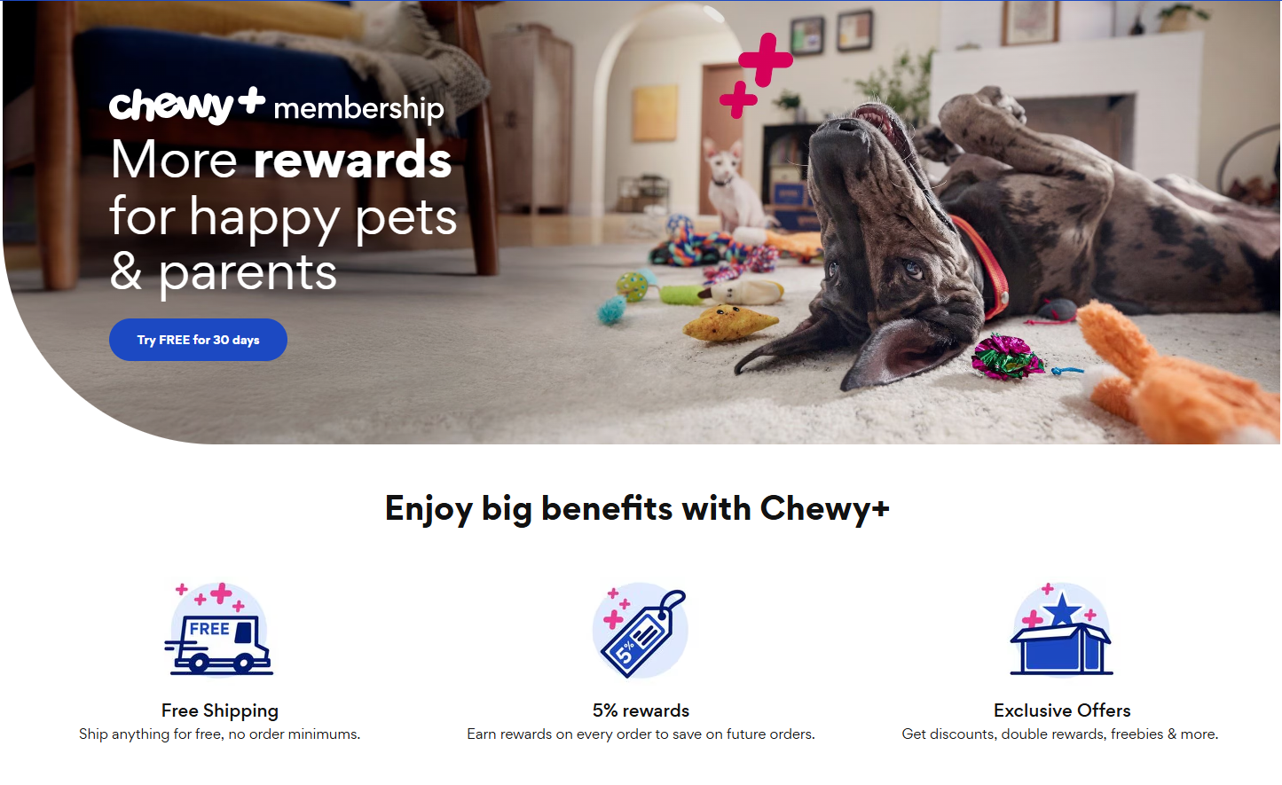 Chewy successful loyalty program