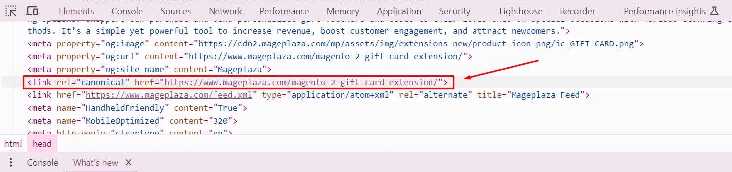 Example of canonical tags