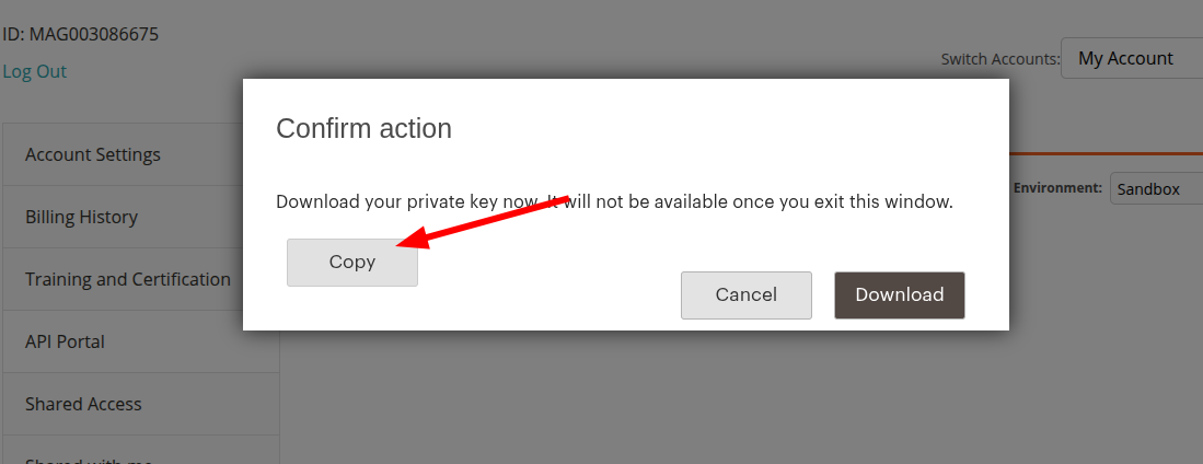 Copy the Private Key