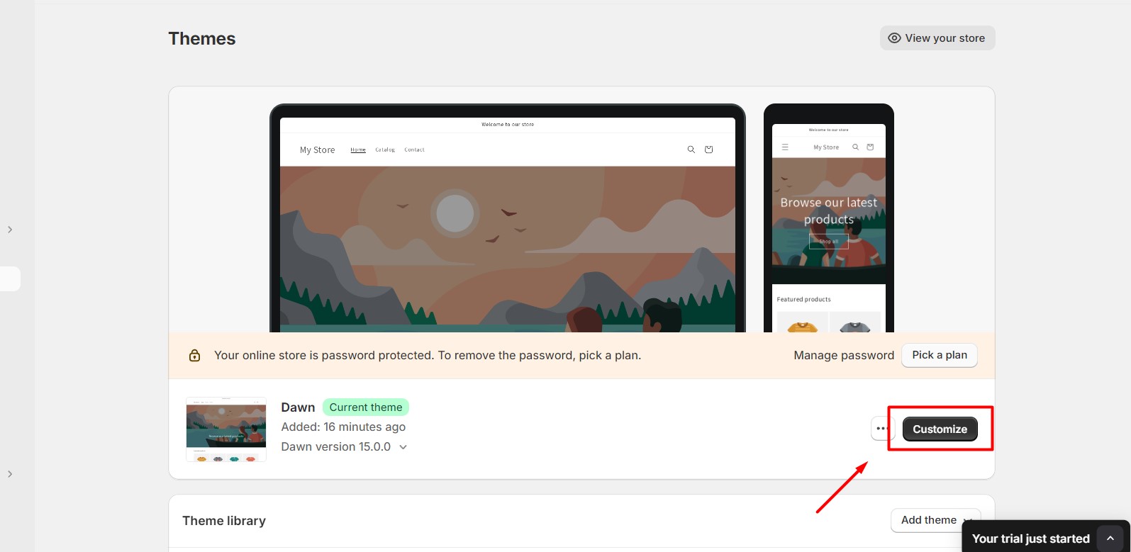 click Customize to design your store’s look