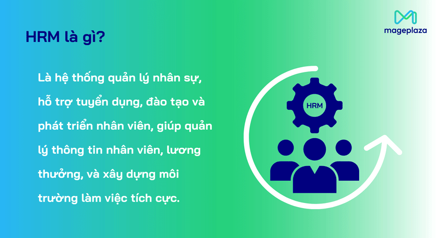 HRM là hệ thống quản lý nhân sự