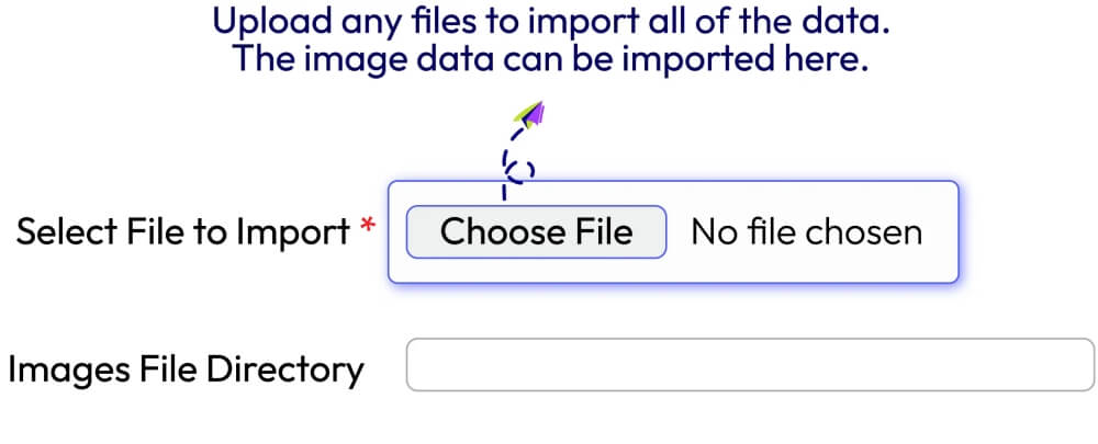 Steps to upload files for data import using the extension