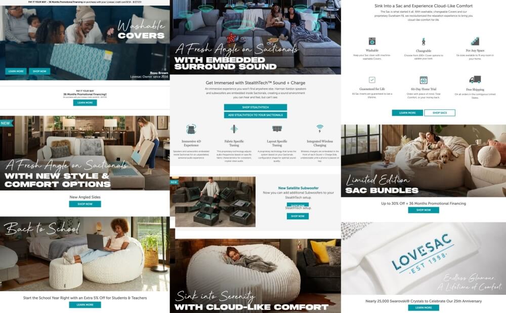 Lovesac eCommerce B2B companies