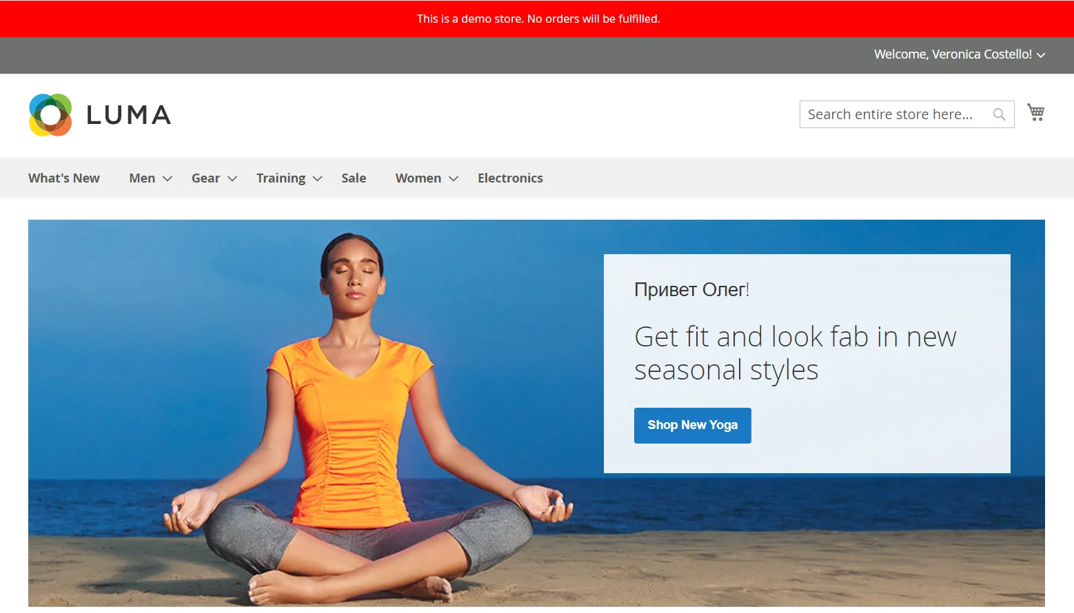 example-of-demo-store-notice-in-frontend