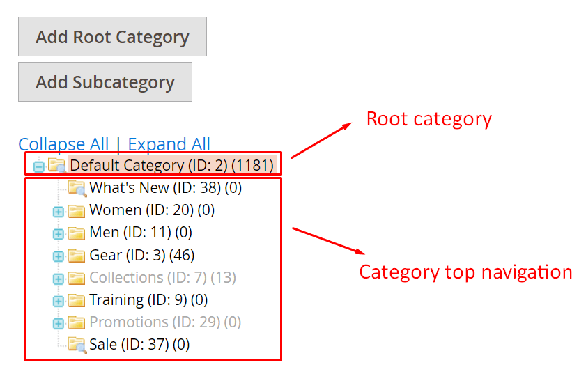 Category level 1 in Magento 2