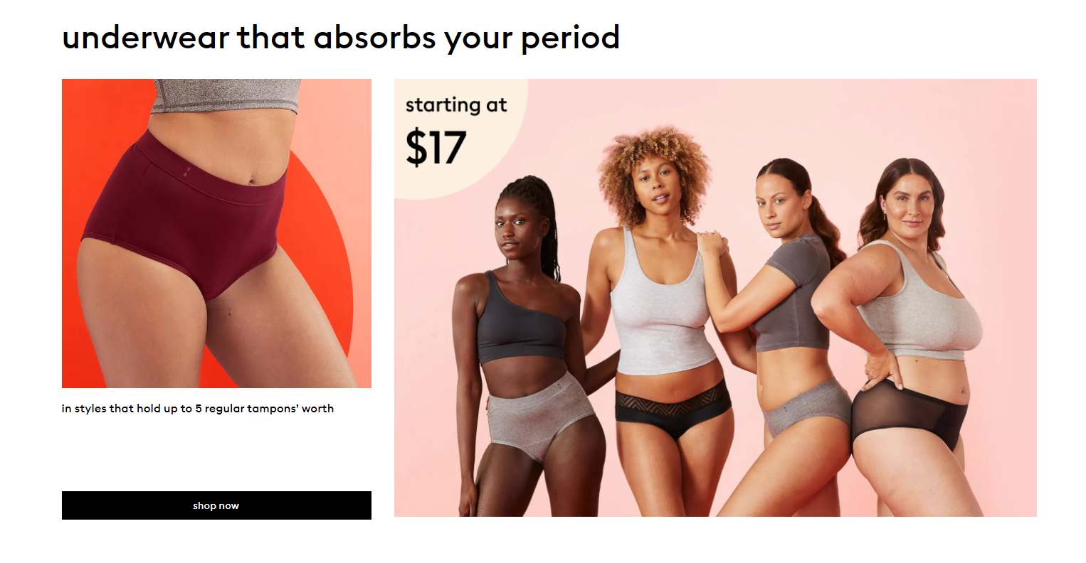 Thinx Underwear