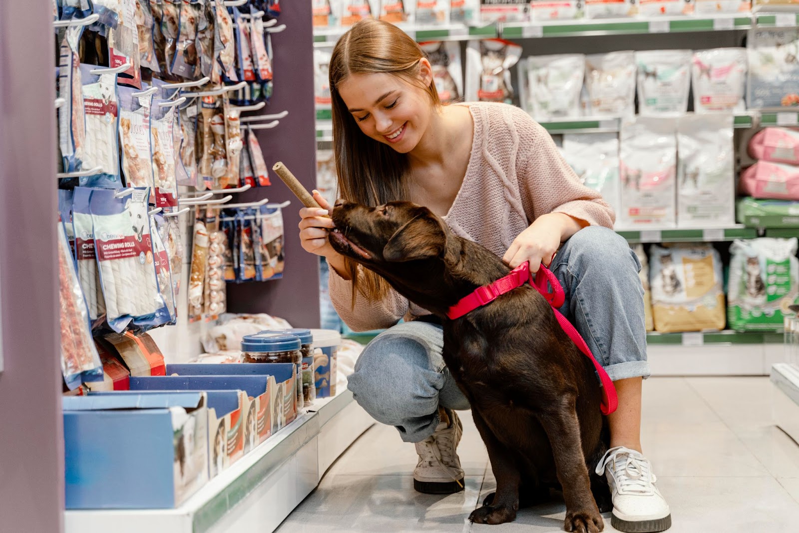 Brick-and-mortar pet supply store