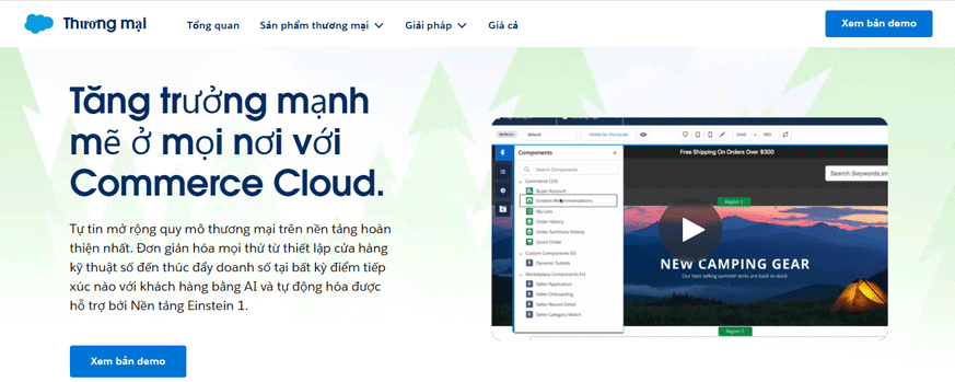 Salesforce là nền tảng thương mại điện tử mạnh mẽ