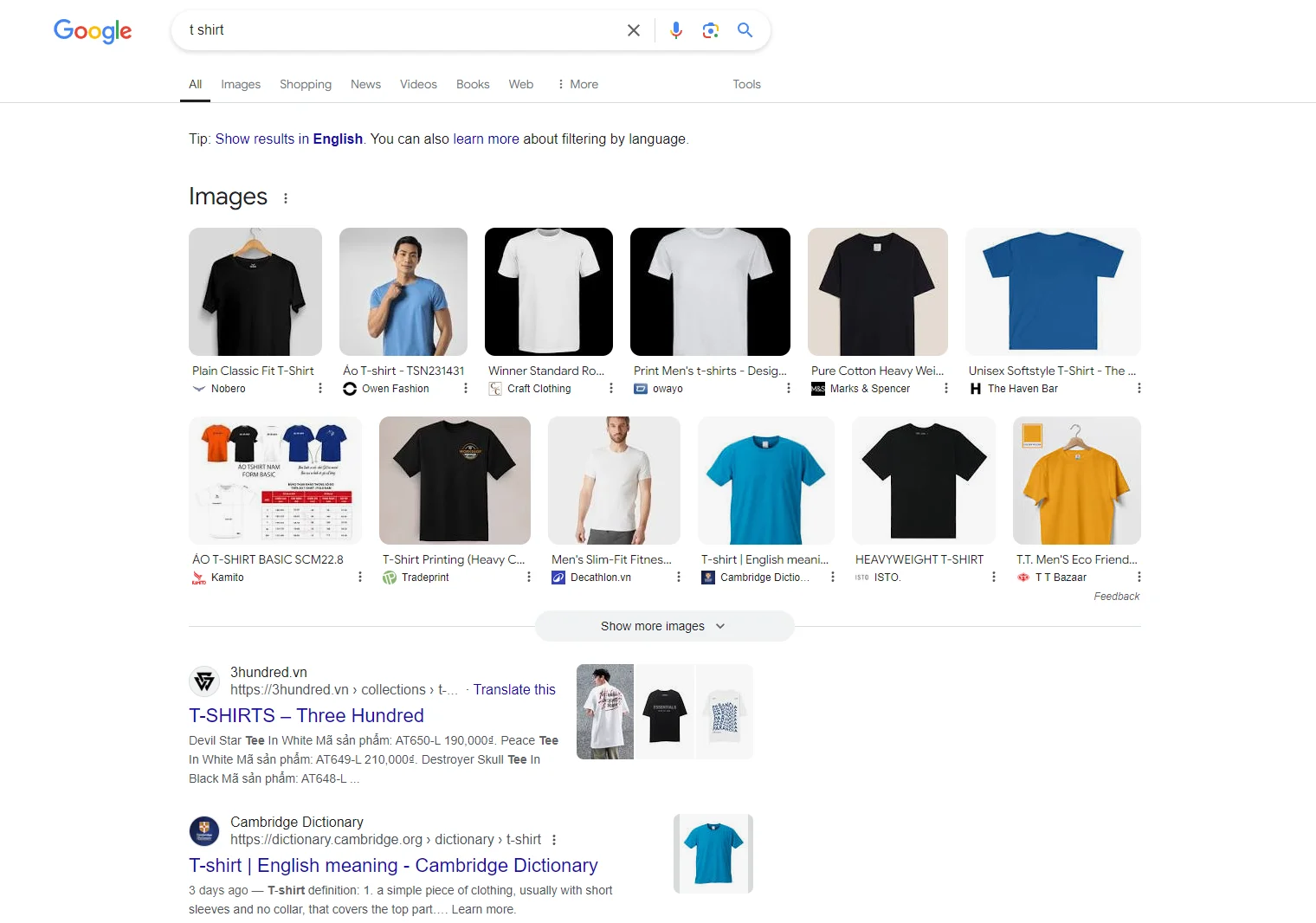 what-is-serp