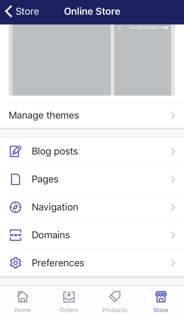 how to set your primary domain on iphone