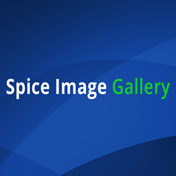Shopify Gallery app by Spice gems