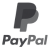 icon paypal