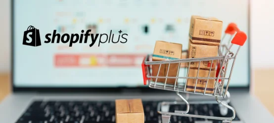 Shopify plus knowledge