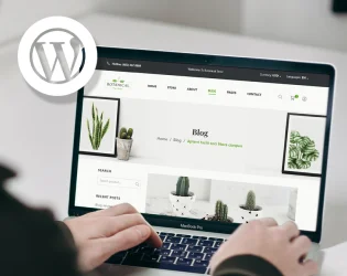 hire wordpress developer