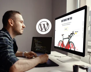 hire wordpress developer