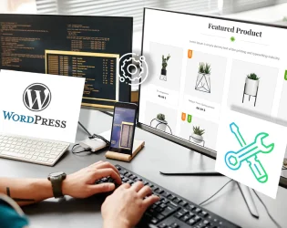 hire wordpress developer