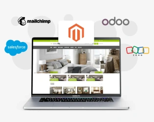 Magento Development Services