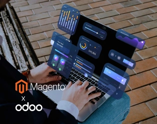 Magento Development Services