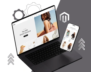 Magento Development Services