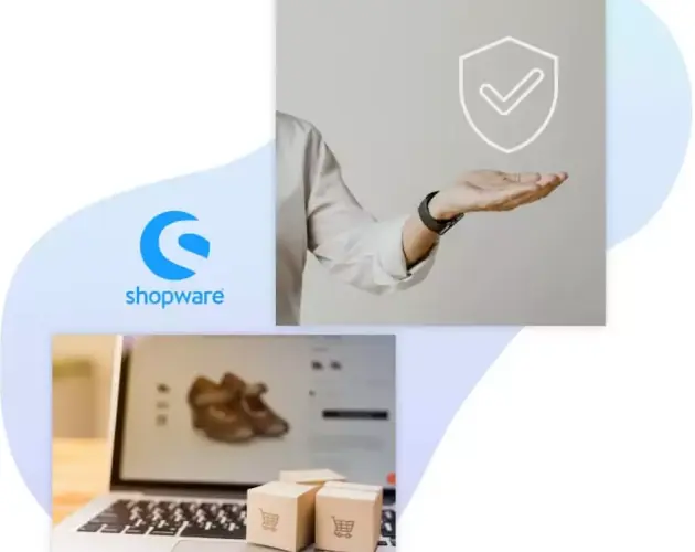 Shopware Support & Maintenance