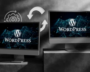 WordPress development services