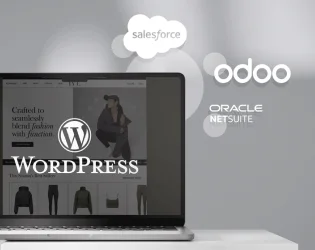 WordPress development services